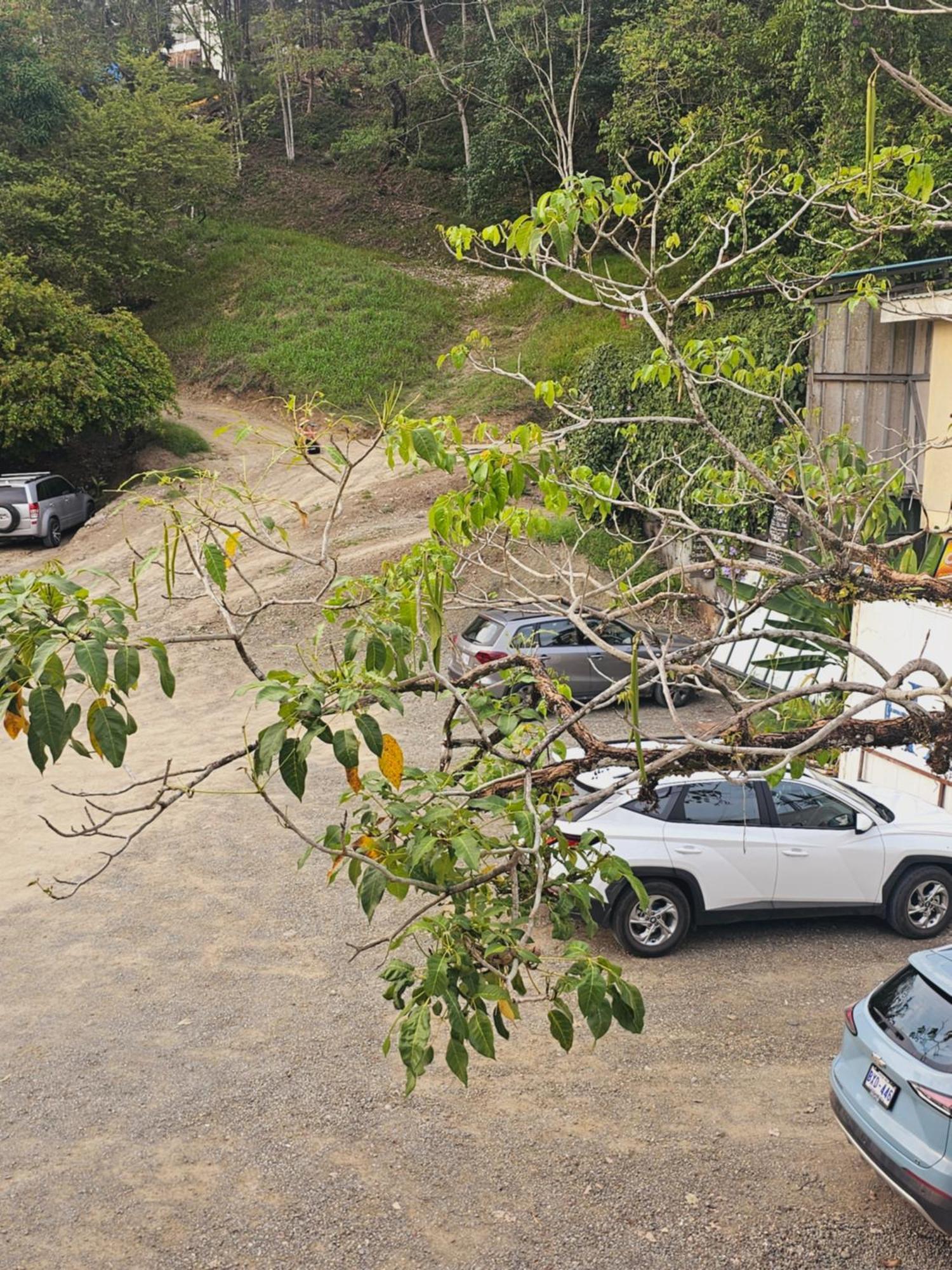 Pura Vida Apartments Quepos Pokój zdjęcie