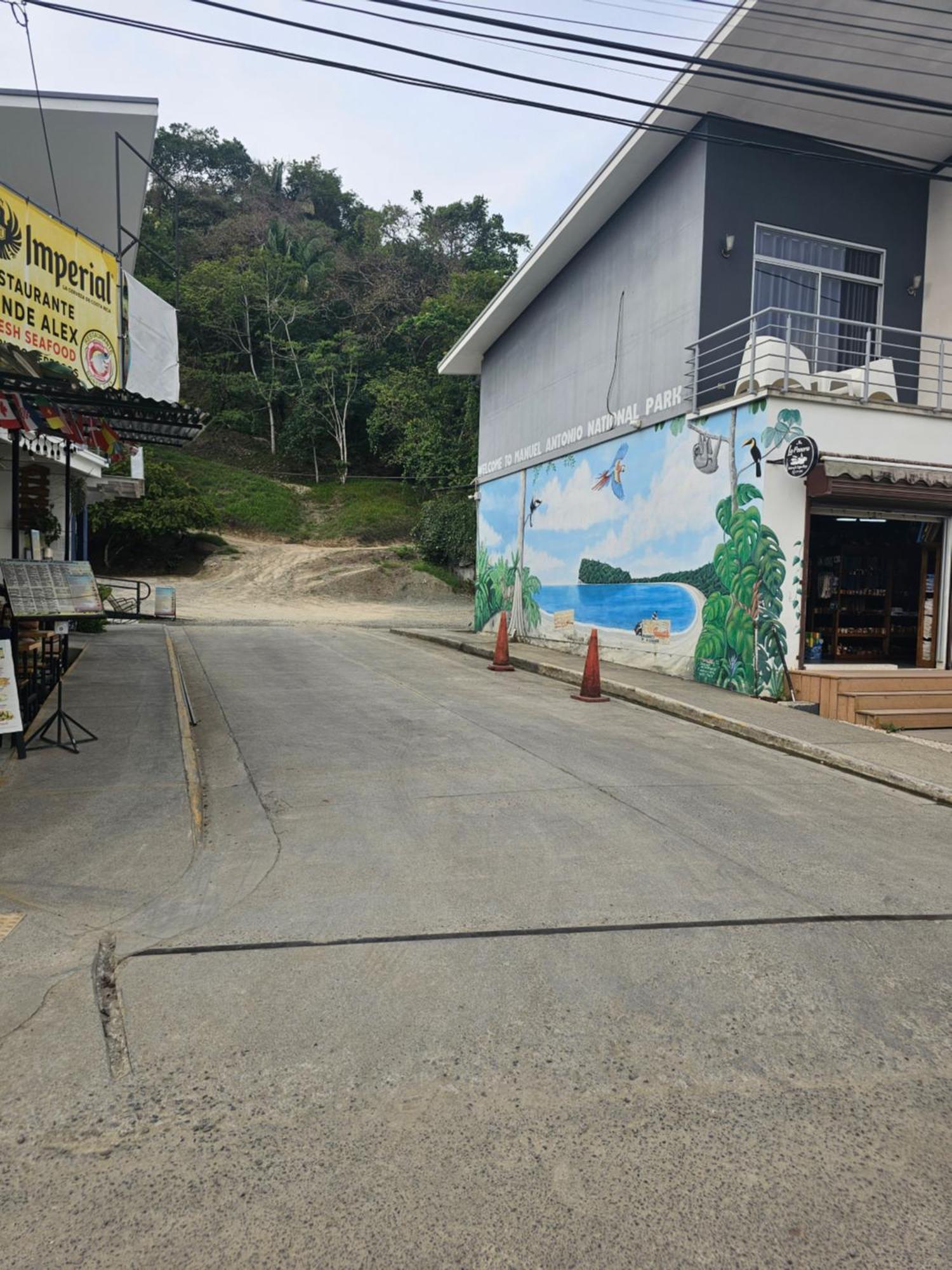 Pura Vida Apartments Quepos Pokój zdjęcie